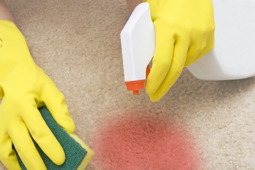 Carpet cleaning quote discussion with pricing details
