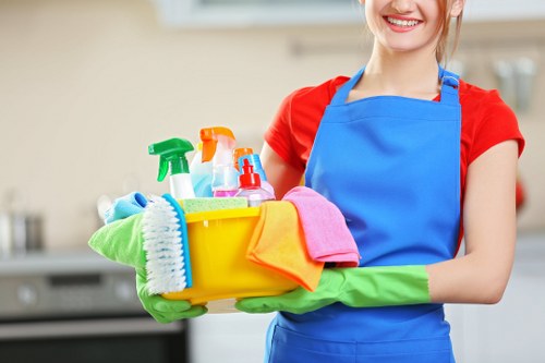Professional sofa cleaning in a Dagenham home living room