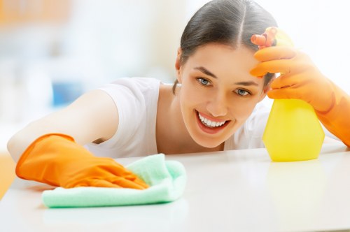 Cleaning equipment used during a carpet care service