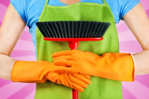 Home carpet cleaning estimate for a residential property