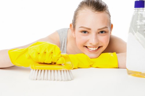 Staff training for carpet cleaners using professional cleaning equipment
