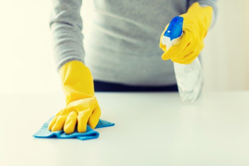 Technician removing dust and allergens from a mattress