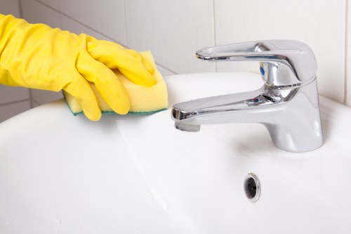 Reviewing a carpet cleaning concern with service notes