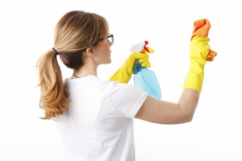 Enzyme cleaning solution used for pet odour removal on upholstery