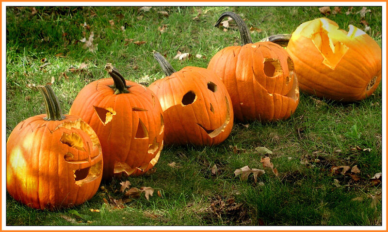 upholstery cleaning clean